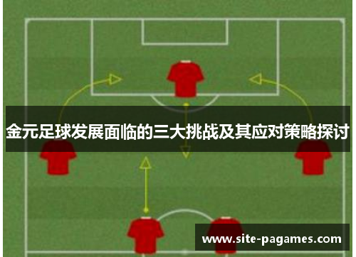 金元足球发展面临的三大挑战及其应对策略探讨
