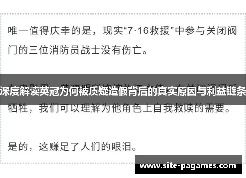 深度解读英冠为何被质疑造假背后的真实原因与利益链条