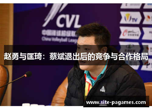 赵勇与匡琦:蔡斌退出后的竞争与合作格局 赵勇与匡琦:蔡斌退出后的竞争与合作格局