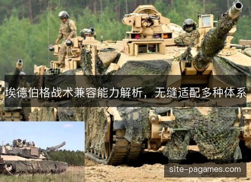 埃德伯格战术兼容能力解析，无缝适配多种体系